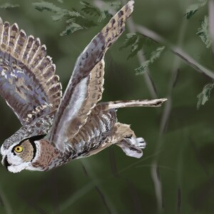 Owl in flight original digital painting