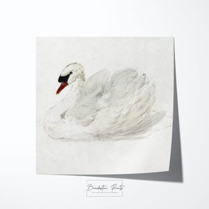 Swan Art Print, Vintage Decor Prints, Wall Art House Warming Gift, Vintage Bird Print, Wall Decor, Minimalist Wall Art, Nursery Art