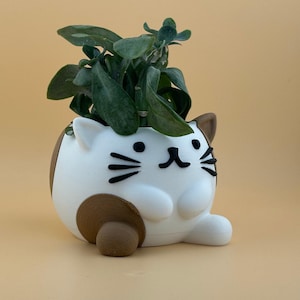 Può includere: Vaso da fiori in ceramica bianca a forma di gatto con macchie marroni e occhi e baffi neri dipinti. Una pianta verde cresce dalla cima del vaso.