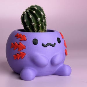 Puede incluir: Una maceta morada con forma de ajolote con branquias rojas y un bigote y ojos negros. Un cactus verde se encuentra dentro de la maceta. La maceta está hecha de un material liso y tiene un diseño caprichoso.