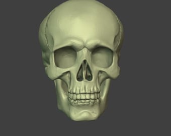 Skull STL