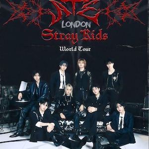 Stray Kids dominATE ポスターセット Dominate Stray Kids (스트레이 키즈) 
