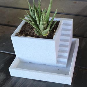 Self-watering Planter