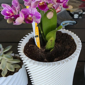 Orchid Planter