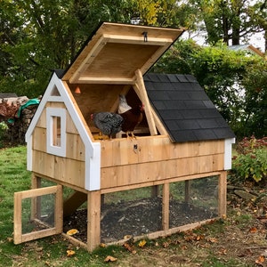 4' x 6' Backyard Chicken Coop Plans- Printed Version