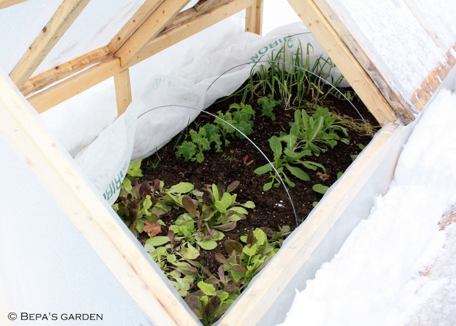 Mini Greenhouse Plans PDF Version Etsy