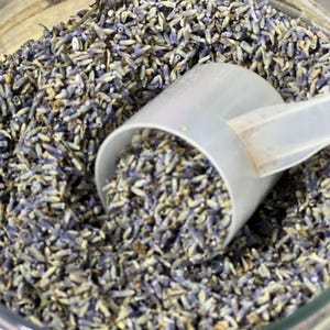 Germogli di lavanda biologica / Tè / Fiori culinari / Qualità alimentare / Lavadula angustifolia / Qualità premium