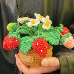 Crochet Strawberry Pot Pattern PDF - Cute and Sweet Potted Plant Tutorial, DIY Fresh Home Decor, Handmade Gift for Plant Lover