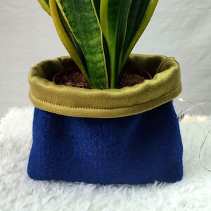 Peut inclure: Une plante serpent verte et jaune dans un pot en tissu bleu et vert. Le pot est doublé de feutre vert.
