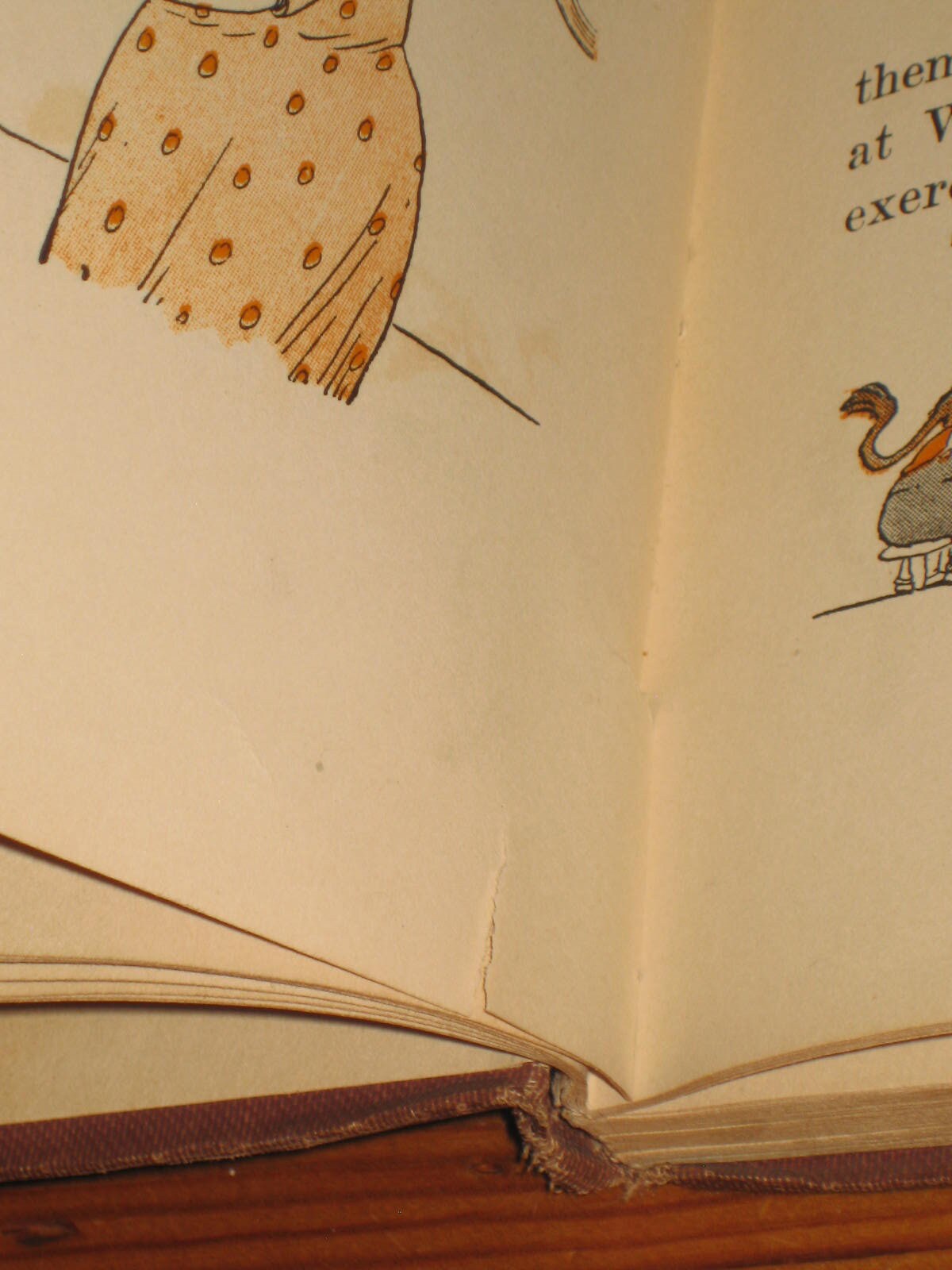 Skeezix and Uncle Walt Book 1924 Frank King First Edition