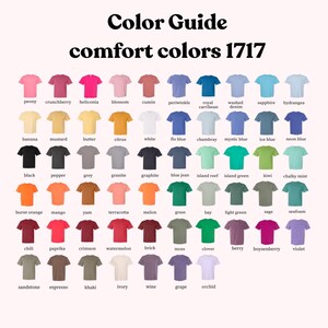 May include: Color chart of 1717 comfort colors t-shirts. The chart shows 5 rows of 10 different colors each. The colors are named below each t-shirt.