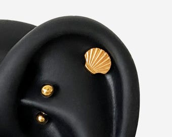 16G Titanium Shellfish Internally Threaded Flat Back stud, Shell Conch earring, Cartilage flat back, Helix stud, Tragus stud, Minimalist