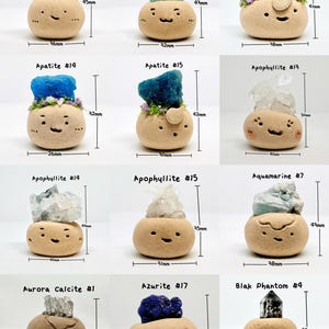 Puede incluir: Una colecci&oacute;n de doce peque&ntilde;as figuras de cer&aacute;mica redondas y de color tostado con caras dibujadas a mano, cada una coronada con un cristal mineral en bruto &uacute;nico. Cada figura est&aacute; etiquetada con su tipo de cristal y medidas m&eacute;tricas.