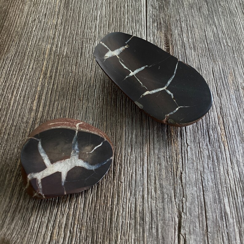 Michigan Lightning Stones, Polished Septarian Nodule, Lightning Stone