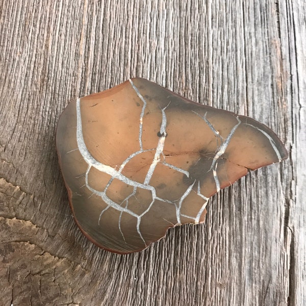 Polished Michigan Lightning Stone Etsy