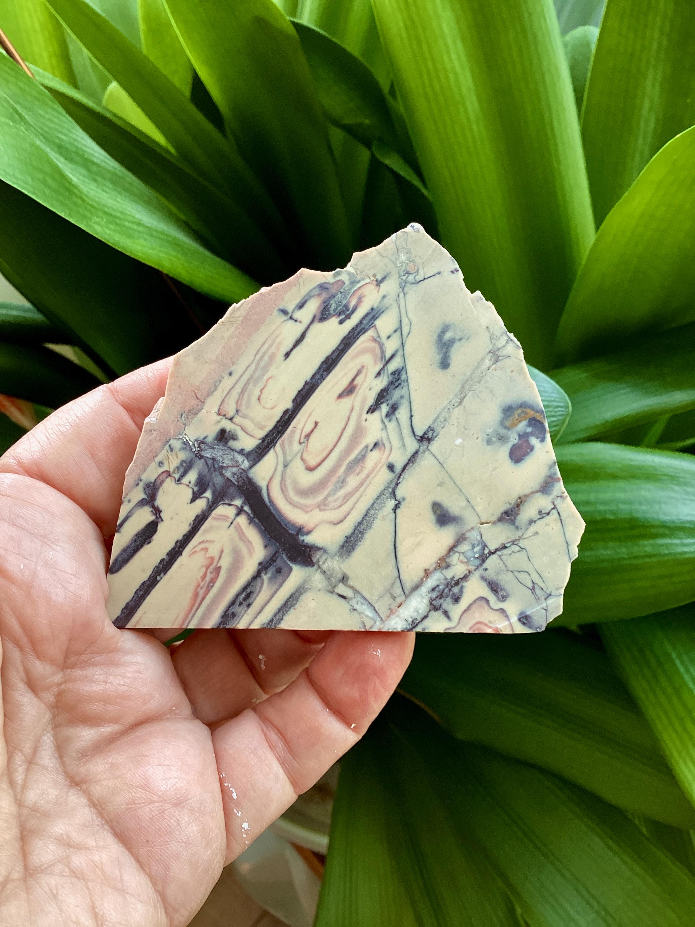 Sci-Fi Porcelain Jasper, Exotica Porcelain Jasper, Porcelain Jasper