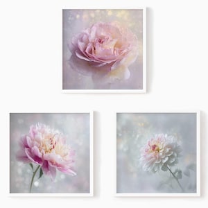 May include: Three framed floral prints displaying close-up images of pink and white flowers. The top print shows a large, open rose with water droplets. The other two prints feature peonies and dahlias, set against a soft, blurred background.