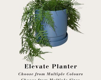 Elevate Planter Modern Cylindrical Planter with Tray – Indoor/Outdoor Décor