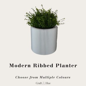 Può includere: Un vaso cilindrico bianco con una texture a coste verticali contenente una pianta verde a foglie. Il testo Modern Ribbed Planter, Choose from Multiple Colours e Craft & Hue è visualizzato sotto il vaso su uno sfondo chiaro.