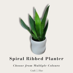 Könnte beinhalten: Ein weißer zylindrischer Pflanztopf mit vertikaler, spiralförmig gerippter Textur, der eine grüne Bogenhanfpflanze enthält. Der Text darunter lautet Spiral Ribbed Planter, Choose from Multiple Colours und Craft & Hue.