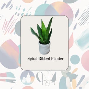 May include: A white ceramic planter with a spiral ribbed design. A green snake plant is growing in the planter. The planter is labelled "Spiral Ribbed Planter".