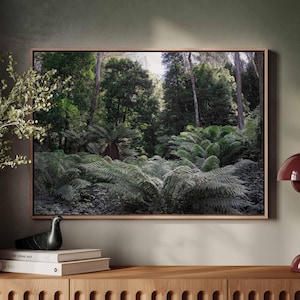 Australian High Country Bushland, Beautiful lush scenery, Ready to Print, Home Decor.
