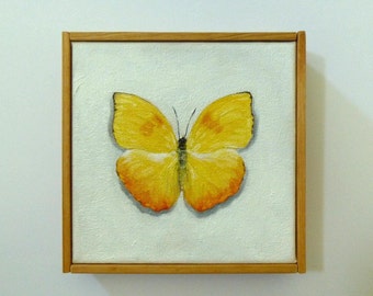 Sulphur Butterfly Original Oil Painting