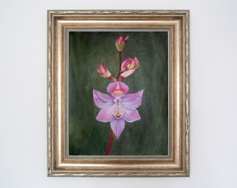 Many-Flowered Grass-Pink Orchid Pastel Drawing