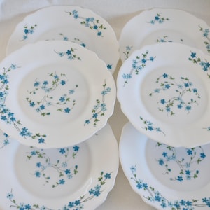 Könnte beinhalten: Sechs weiße Keramikplatten mit gewelltem Rand. Jede Platte ist mit einem blauen Blumenmuster am Rand und in der Mitte verziert. Die Teller sind auf einer weißen Oberfläche angeordnet.