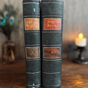 Puede incluir: Dos libros antiguos con cubiertas verde oscuro y letras doradas. Las lomos presentan etiquetas que dicen "Bielschowsky Goethe" y los n&uacute;meros "1" y "2". Los libros se exhiben sobre una superficie de madera, con un fondo borroso.