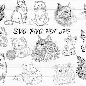 Cat Line Art Clipart Bundle: Kitten Vector Graphics (Digital Download)
