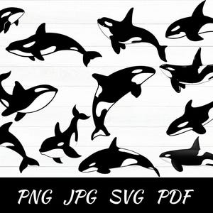 Orca Cut Files - SVG, PNG, JPG - Commercial Use, Digital Cut File, Orca Clipart, Digital Download, Instant Download, Killer Whale, Orca Svg