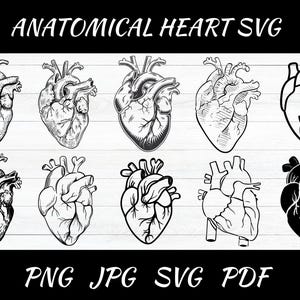 Anatomical Heart SVG Bundle: Floral Human Heart Design (Cut Files for Cricut/Silhouette)