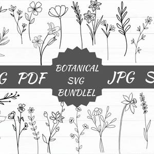 Botanical Svg Bundle Cut File, Floral,Flower leaf,leaves ,Botanical clipart hand drawn doodle style svg,png,pdf, for cricut
