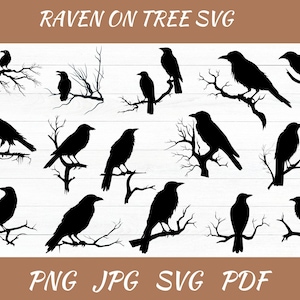 Raaf op boomtak SVG, kraai Svg, raaf Svg, kraai silhouetten, kraai Cricut, kraai clipart, raaf clipart, raaf silhouet, raaf png