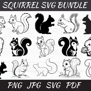Squirrel Svg Bundles - Squirrel Svg Files For Cricut - Squirrel Clipart - Squirrel Cut File - Squirrel Circuit - Squirrel Silhouette