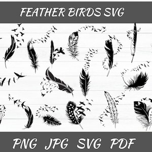 Feather birds svg, Feather svg bundle, Flying birds feather svg, Feather leaf silhouette, Memorial feather svg, Flying birds svg
