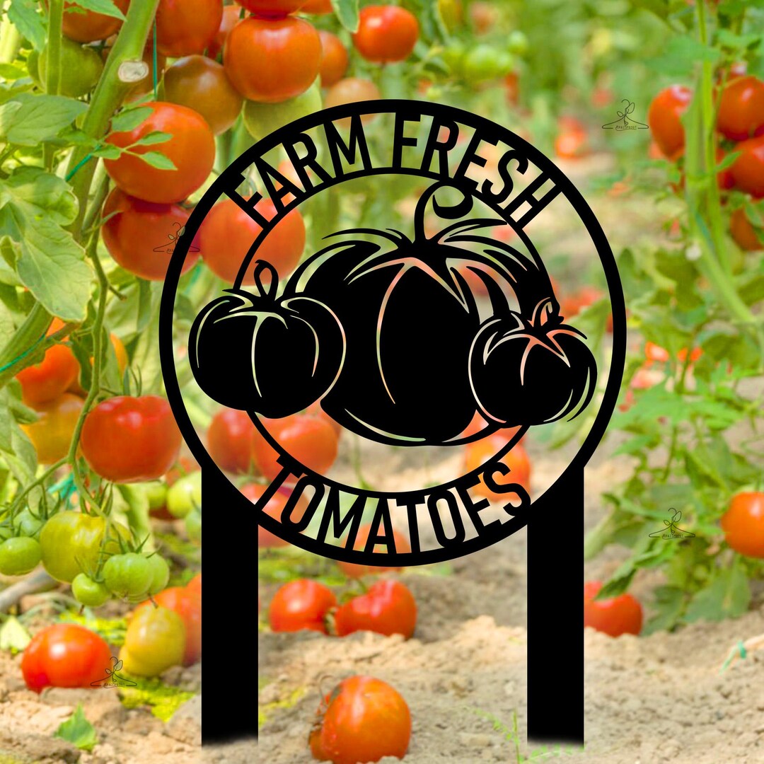 Tomate Sign Tomato Farm Logo Garden Sign, Farm Fresh Tomatoes Metal Garden Stake ...
