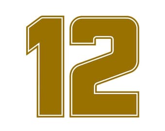 Pair of JPS John Player Special Style Number Stickers