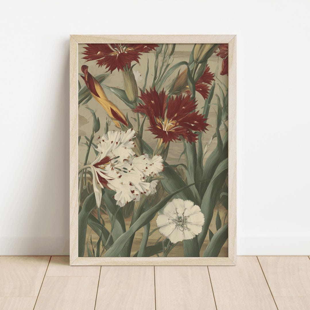 Vintage Botanical Wall Art Red White Carnation Print Antique Style ...