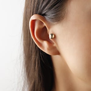 14K Gold Shell Tragus Earring, Dainty Cartilage Jewelry, Minimalist Beach-Inspired Stud, Perfect Gift For Her, Everyday Gold Jewelry