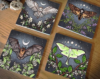 Set of 4 Fly by Night Witchy Coasters