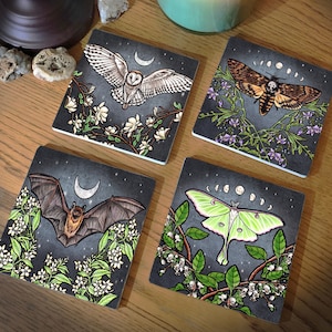 Set of 4 Fly by Night Witchy Coasters