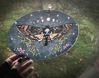 Death Head Moth Moth Glass Sun Catcher