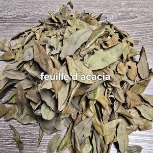 feuille d&#39;acacia/cacia leaves