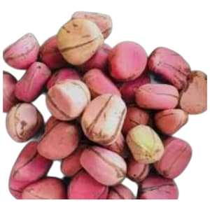 May include: A pile of pink and tan kola nuts. The nuts have a smooth, oval shape with a light-colored, striped pattern. The background is plain white.