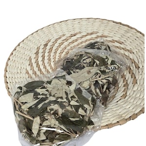 croton leaves /ewe aje obale