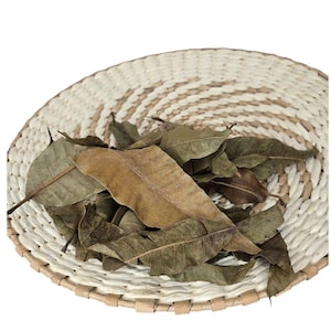 naturel Dry mango leaves
