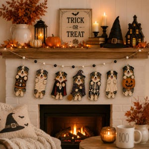 Può includere: Una ghirlanda decorativa con sette ornamenti in legno a forma di cane pastore australiano, ognuno vestito con un costume di Halloween diverso, tra cui un fantasma, uno scheletro, un vampiro e una strega, appesi a un cordino con perline.
