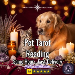 May include: A golden retriever and a tabby cat sit together in front of lit candles and crystals. The words "Pet Tarot Reading" are displayed, along with "Same Hour - Fast Delivery" and "Soul Sense Medium".